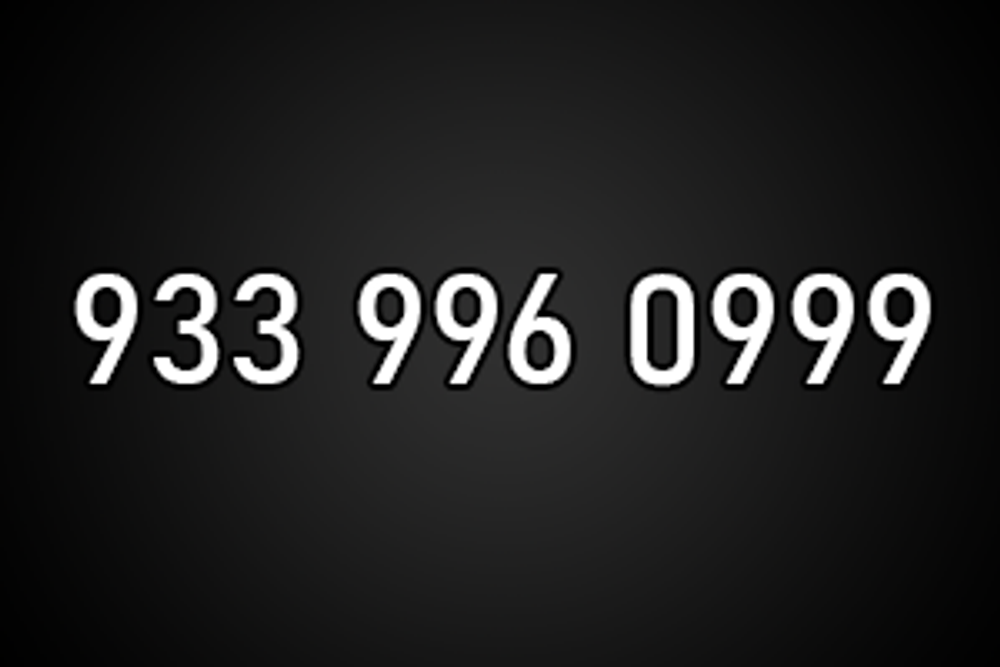 9339960999