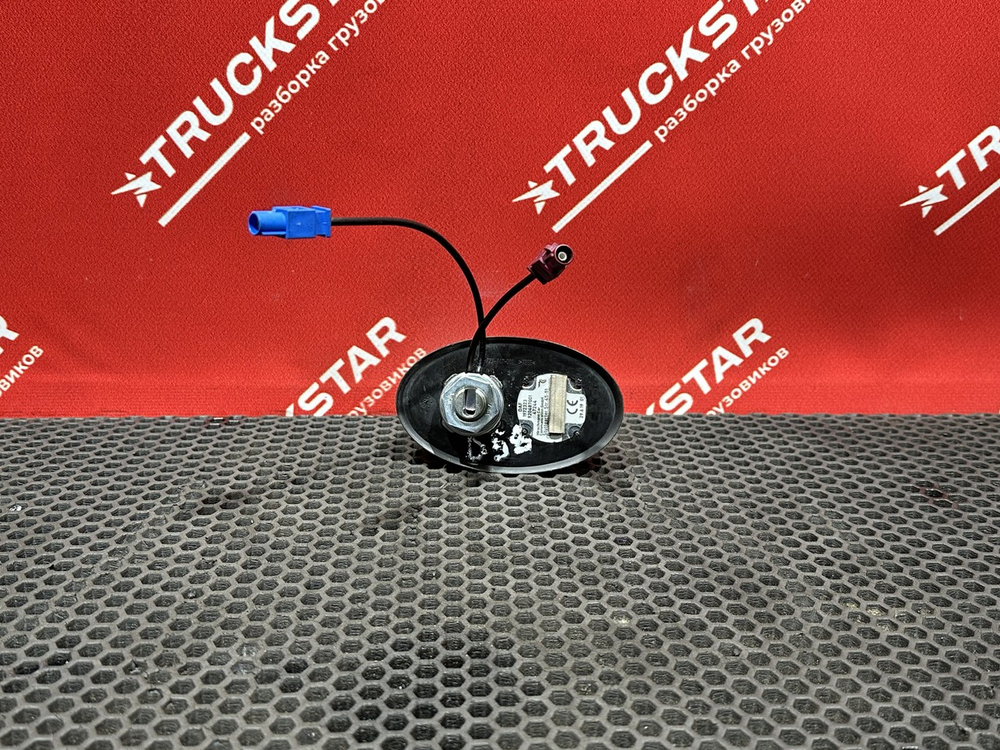 Антенна 2019г