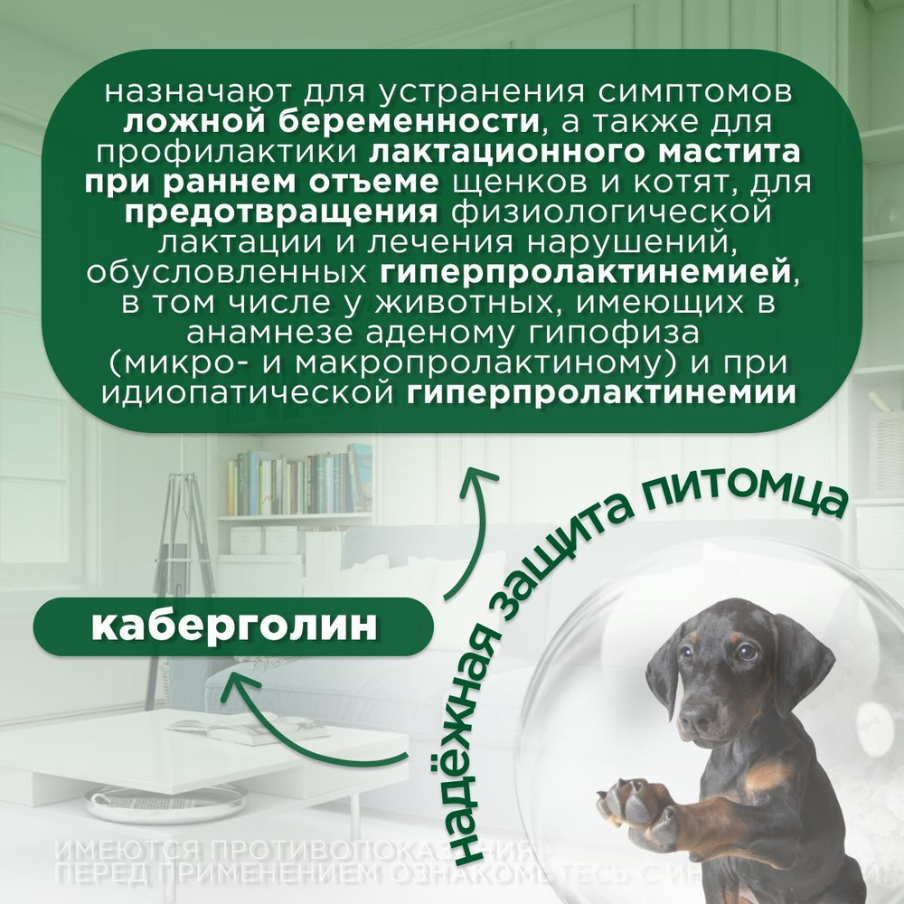 Лакто-Стоп для собак мелких пород и кошек флакон, 7 мл