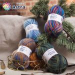 Пряжа Astra Premium (Астра Премиум) Карелия носочная (Karelia sock) / уп.2 мот. по 100 г, 400 м, 1004