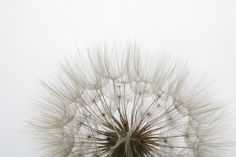 Холст Garda Decor Нежность 54STR-TENDER