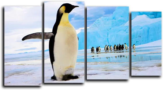 Модульная картина "Пингвин на льду"