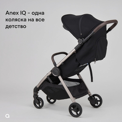 Детская коляска Anex iQ Basic NT 2 в 1 Nyx