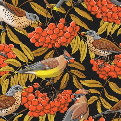 Свиристели и дрозды-рябинники на рябине