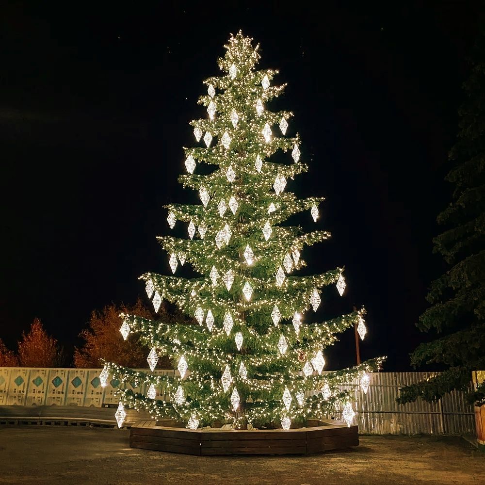 Светодинамическая елка ствольная со скамейкой, встроенная гирлянда: Теплый свет - "Лесная" (Литая хвоя) от 6 до 18 м