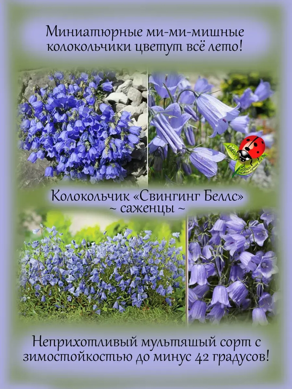 Колокольчик мини Свингинг Беллс