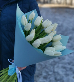 25 тюльпанов в упаковке