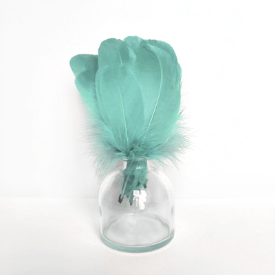 Гусиные перья мятные скругленные 20шт.