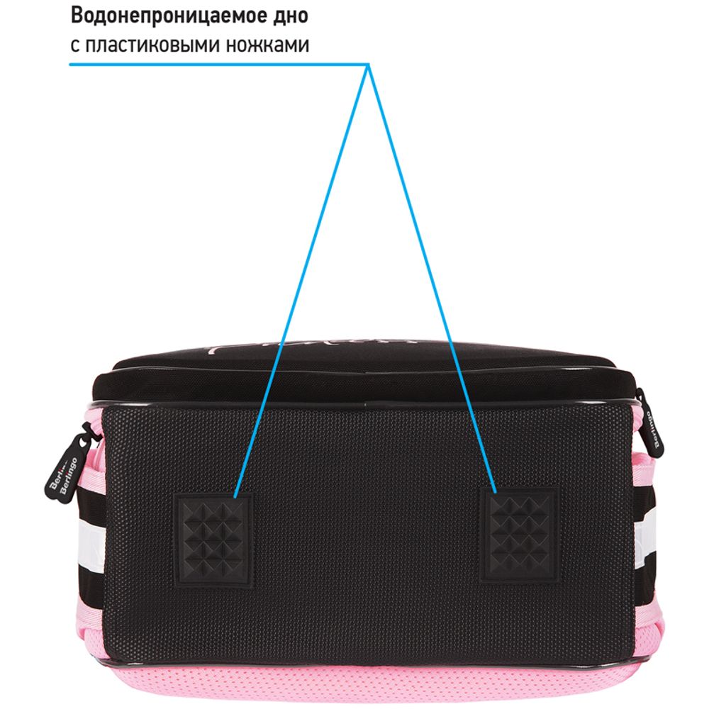 Ранец Berlingo Expert Plus Like a princess 38х29х15см, 2 отд., с анатомической спинкой