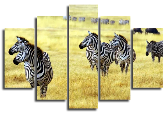 Модульная картина "Зебры"