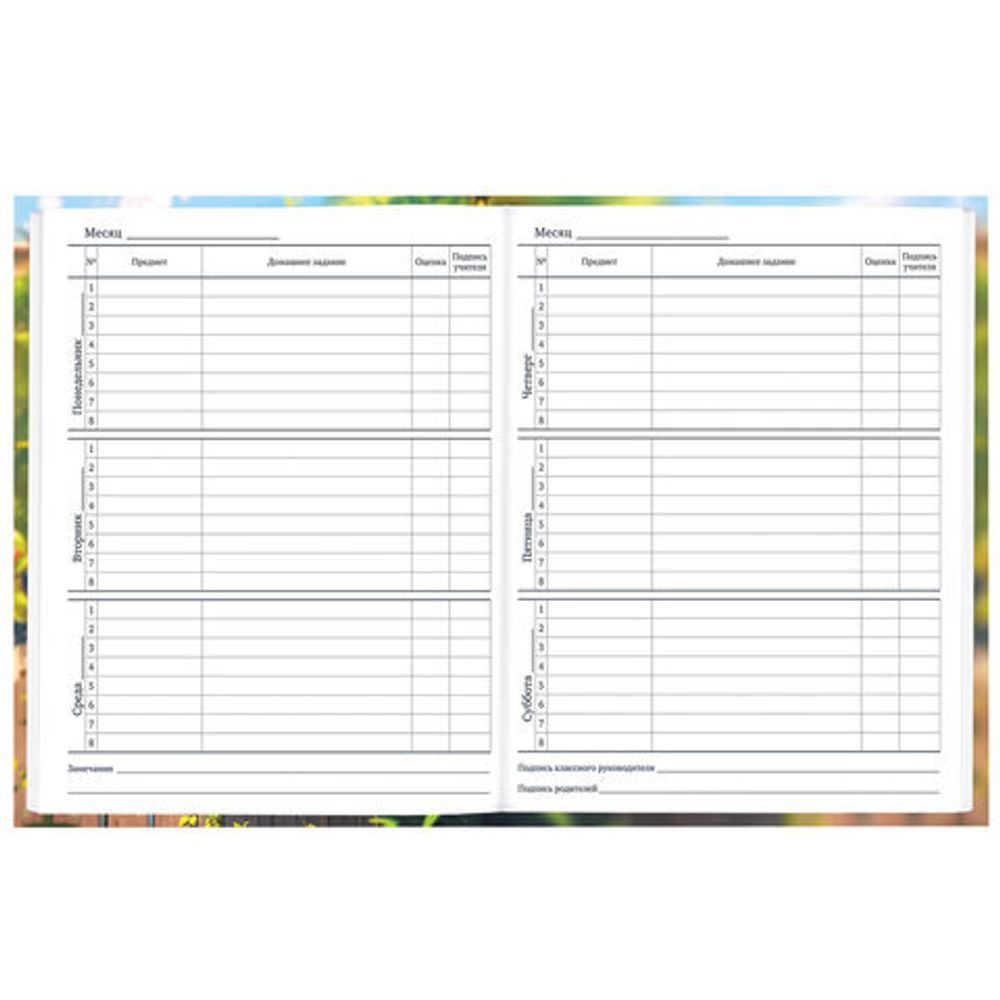 Дневник 1-11 класс 40 л., твердый, BRAUBERG, матовая ламинация, "Cute Cat", 107180