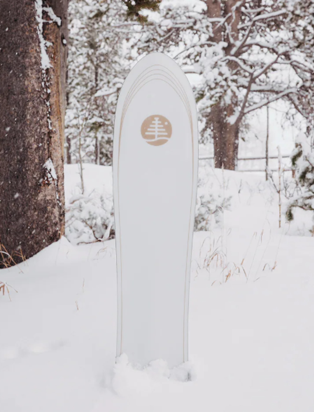 Сноуборд BURTON FT BACKSEAT DRIVER 2024/2025