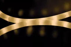 Дюралайт светодиодный 2-х проводной, диаметр 13 мм., 220В, теплые белые LED лампы 36 шт на 1 м., бухта 100 м., матовый, статика, Teamprof (TPF-DL-2WHM-100-240-WW)