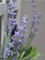 Панно на стену для интерьера