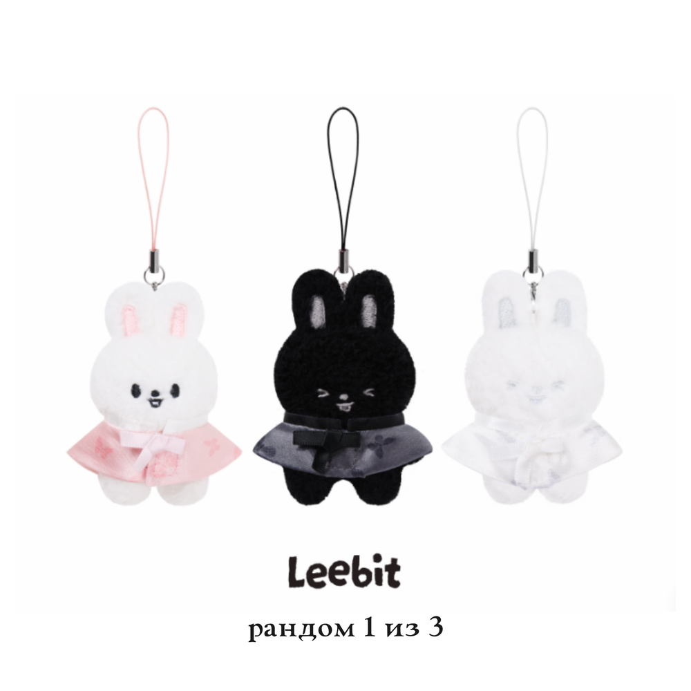 Секретный микро-плюш SKZOO SECRET PLUSH MICRO Ver. – Stray Kids World Tour RUN IT