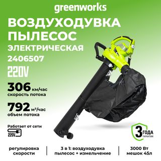 Электрические воздуходувы (220v)