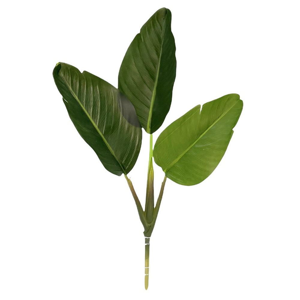 Стрелиция куст 3 листа 38 см