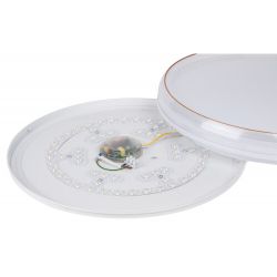 Светильник потолочный светодиодный ЭРА SPB-6-80-RC Solar RGBD с ДУ динамическое 80Вт