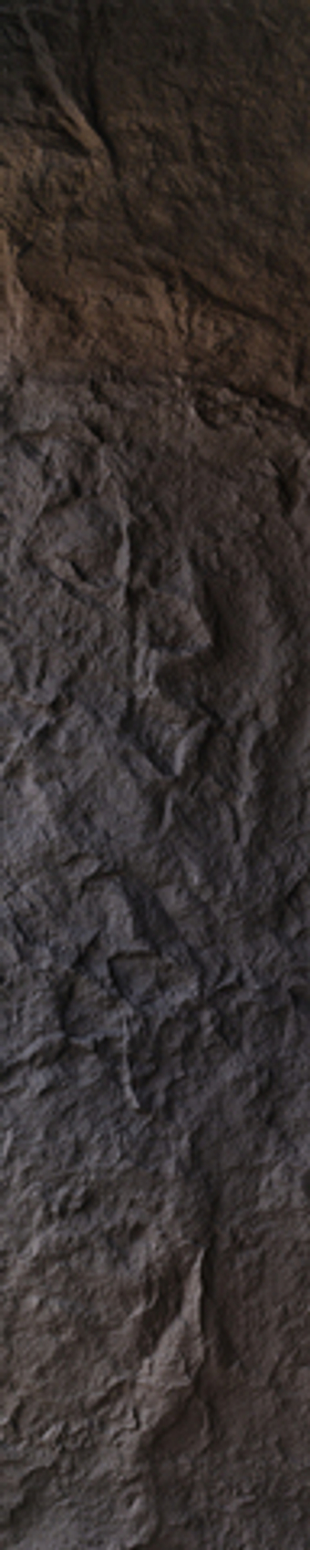 Stone Panel Rock Stone (Пано) light black 2900*600*45mm