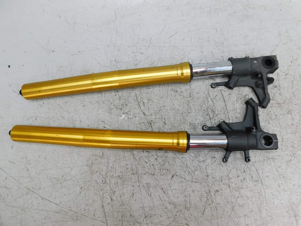 перья вилки Triumph Speed Triple SMTTE5865R