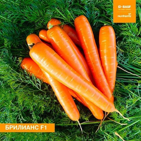 Семена моркови Брилианс F1, Nunhems, 0,5 гр.