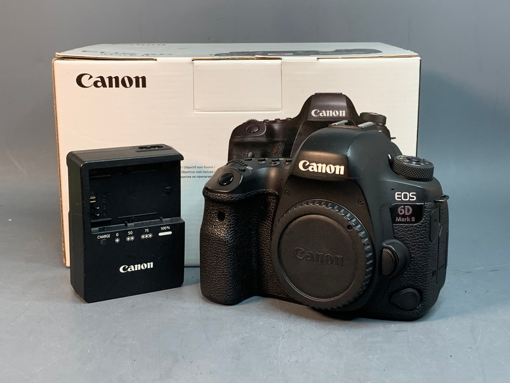 Canon EOS 6D Mark II 2.252 кадров