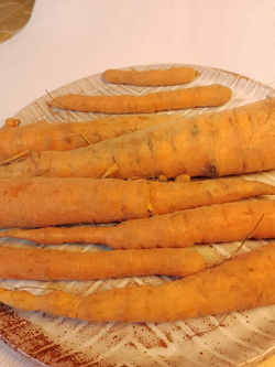 Морковь некондиционная