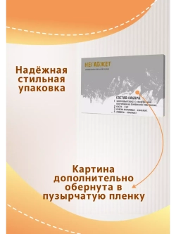 скрудж МакДак с биткоином и баксом картина по номерам 40х50