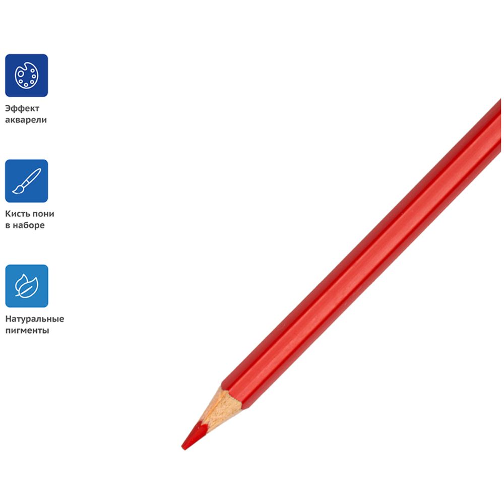 Карандаши акварельные 24 цв. Гамма Лицей + кисть