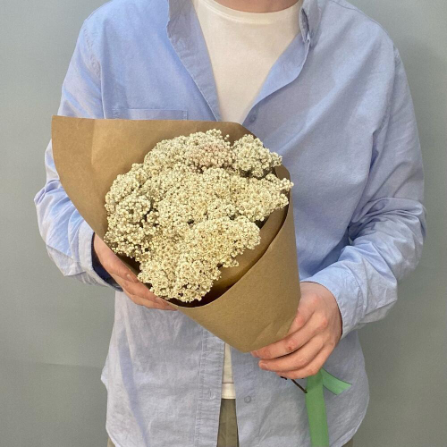 Букет из озотамнуса. Букет из сухоцветов 002 Chalet Green