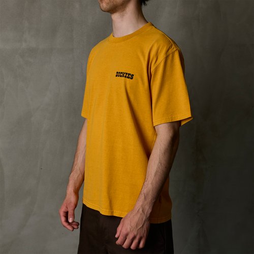 Футболка мужская Dickies Darrtown Short Sleeve Tee 