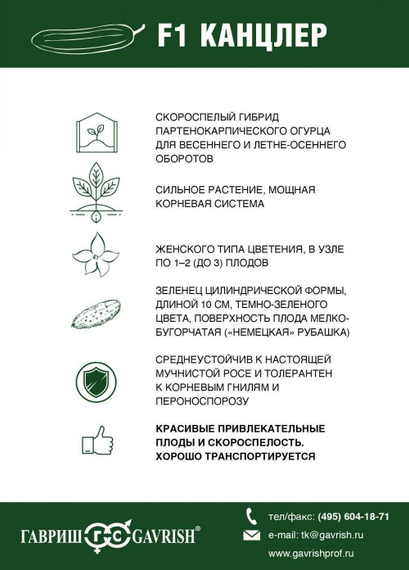 Канцлер F1 семена огурца партенокарпического (Гавриш) – фото 4