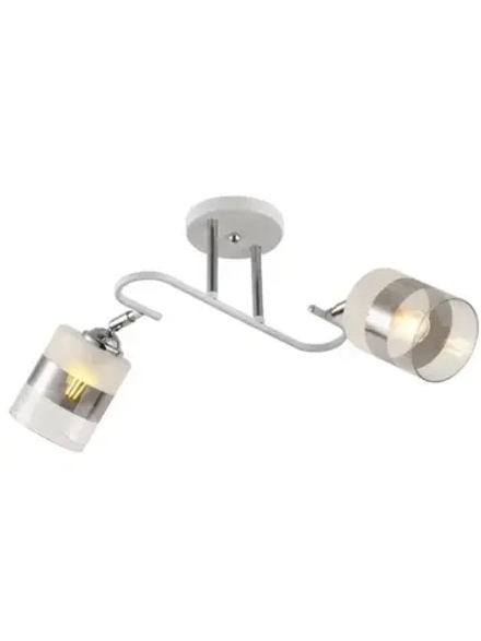 Люстра потолочная TASHA  E27*2*60W