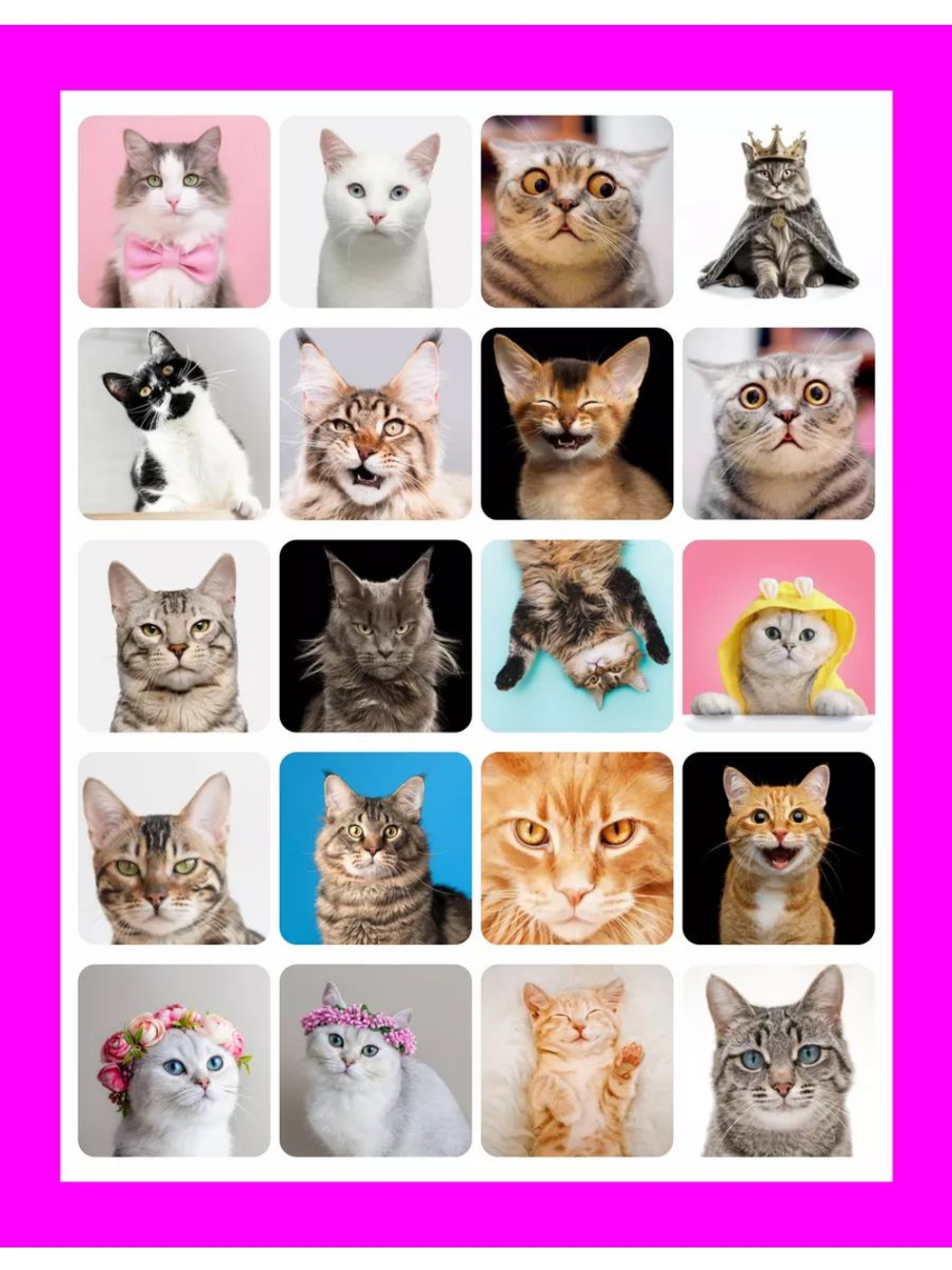 Наклейки детские на телефон стикеры на карту Котики