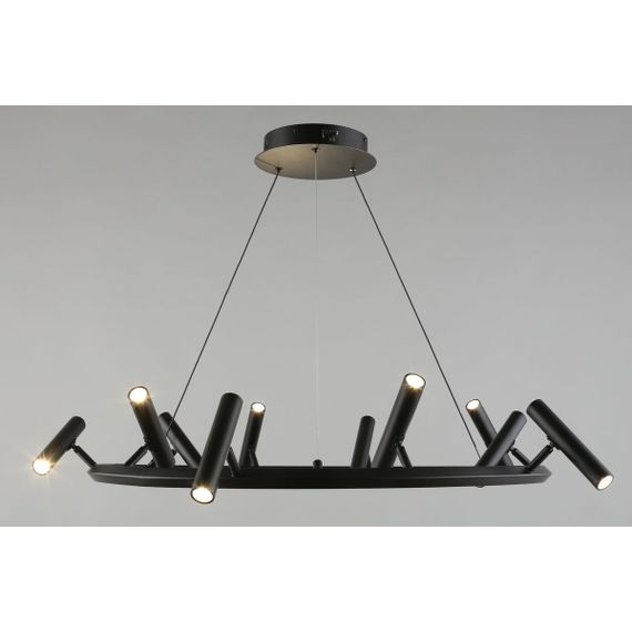 Подвесная светодиодная люстра Aployt Honor APL.067.03.50