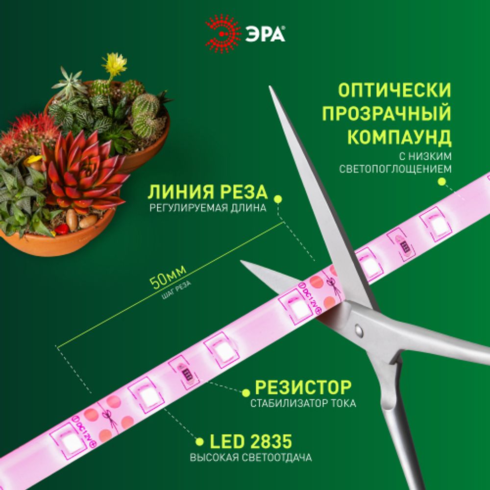 Светодиодная лента для растений ЭРА FITO-Strip Light-RB-27W-3m-12V-IP65 красно-синего спектра 3м IP65 с адаптером 12V