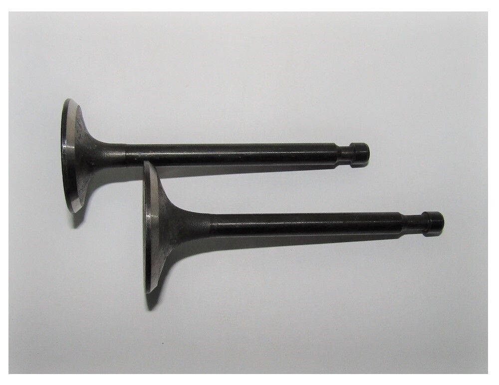 Клапан впускной/выпуской (комплект,2 шт )GX390/Valve kit