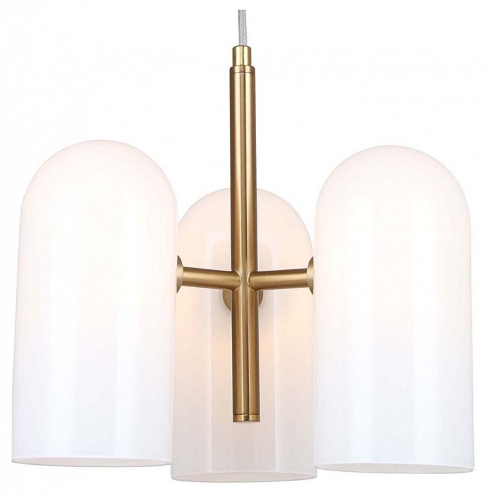 Подвесная люстра F-promo Barfila 4619-3P