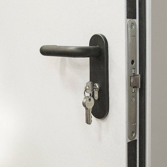 Дверь противопожарная ДПО-1,5 Bravo