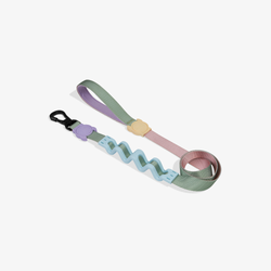 Амортизирующий поводок PEACH RUFF 120 см Zee.Dog