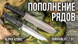 Пополнение рядов