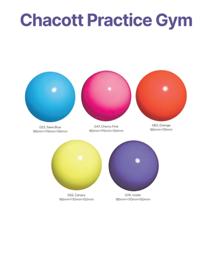 Мяч PRACTICE GYM BALL CHACOTT