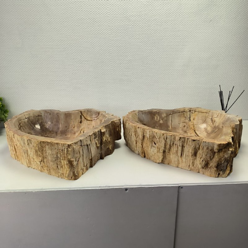 Раковина из окаменелого дерева ПАРА! OD-62096 55*55*15 2шт