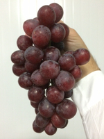 виноград RedGlobe -Перу