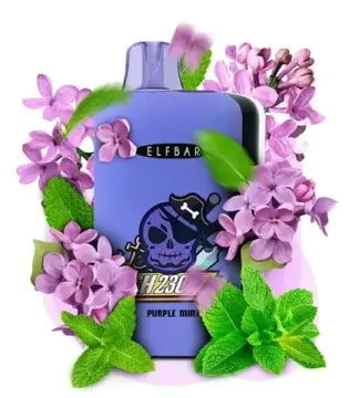 Elf Bar GH23000 - Purple Mint (5% nic)