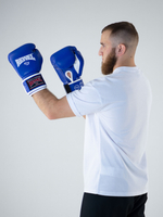 Перчатки боксёрские Reyvel Винил 80 (Синие)