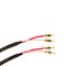 Tchernov Cable Reference DSC SC Sp/Bn 1.65 m