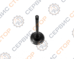 1531531 (7)