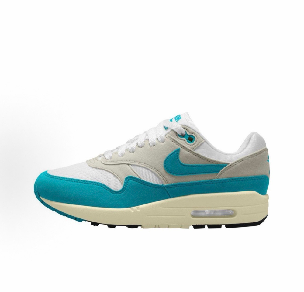 Nike Air Max 1 Dusty Cactus
