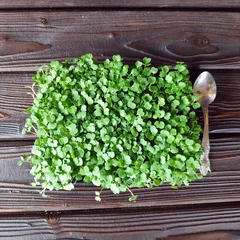 Руккола на корне (лоток) / 30 гр сверху